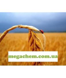 Мінеральні добрива