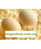 Альбумін яєчний білок
