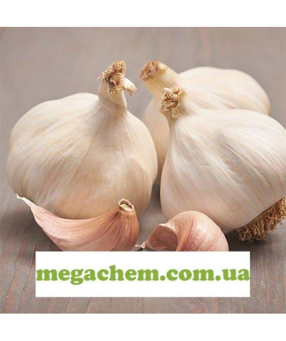 Ароматизатор часник Колаген pro 7714